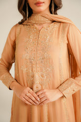 3 Piece Chiffon Embroidered Suit (FL0034)